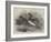 Mandarin Ducks-Harrison William Weir-Framed Giclee Print