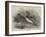 Mandarin Ducks-Harrison William Weir-Framed Giclee Print