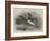 Mandarin Ducks-Harrison William Weir-Framed Giclee Print