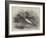 Mandarin Ducks-Harrison William Weir-Framed Giclee Print