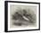 Mandarin Ducks-Harrison William Weir-Framed Giclee Print