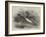 Mandarin Ducks-Harrison William Weir-Framed Giclee Print