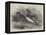 Mandarin Ducks-Harrison William Weir-Framed Premier Image Canvas