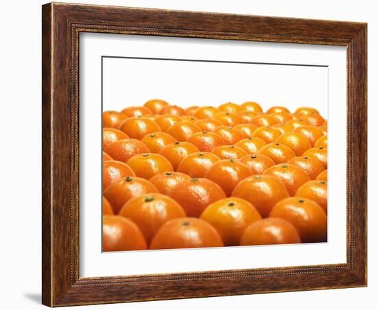 Mandarin Oranges in Rows-Michael Löffler-Framed Photographic Print