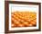 Mandarin Oranges in Rows-Michael Löffler-Framed Photographic Print