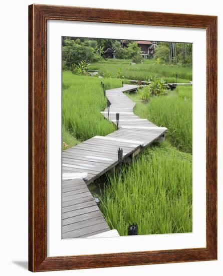 Mandarin Oriental Resort, Chiang Mai, Thailand, Southeast Asia-Angelo Cavalli-Framed Photographic Print