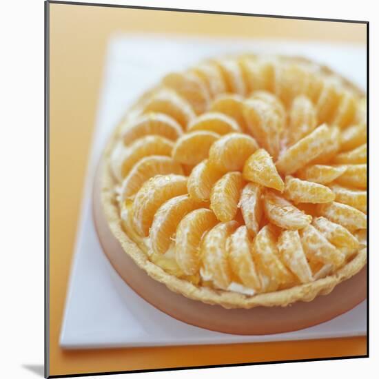 Mandarin Tart-David Munns-Mounted Premium Photographic Print