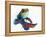 Mandarinfish-Martin Harvey-Framed Premier Image Canvas