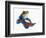 Mandarinfish-Martin Harvey-Framed Photographic Print