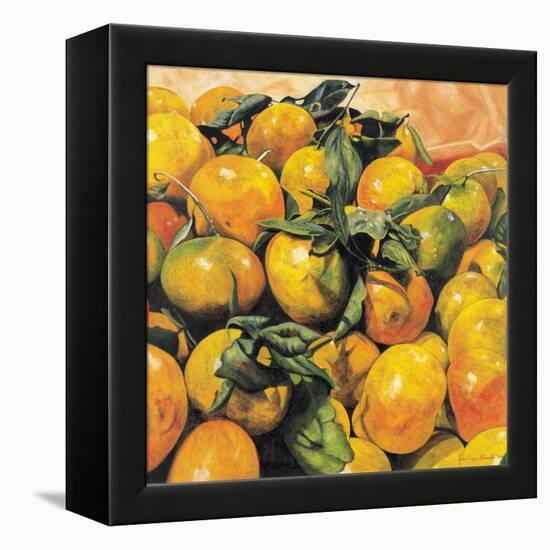 Mandarins, 2004-Pedro Diego Alvarado-Framed Premier Image Canvas