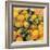 Mandarins, 2004-Pedro Diego Alvarado-Framed Giclee Print