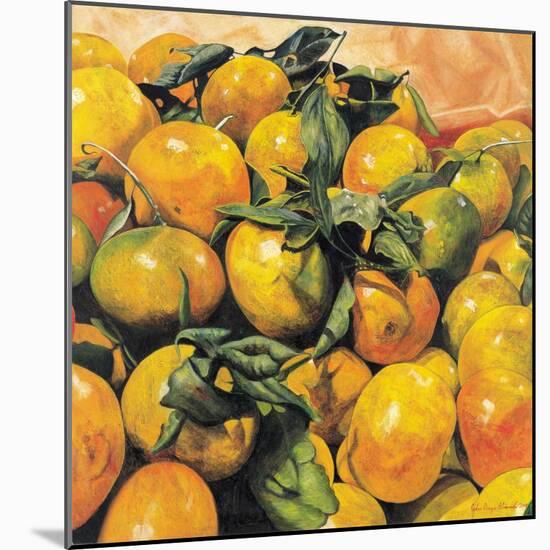 Mandarins, 2004-Pedro Diego Alvarado-Mounted Giclee Print