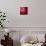 Mandelbrot Fractal-Laguna Design-Premium Photographic Print displayed on a wall