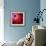 Mandelbrot Fractal-Laguna Design-Framed Premium Photographic Print displayed on a wall
