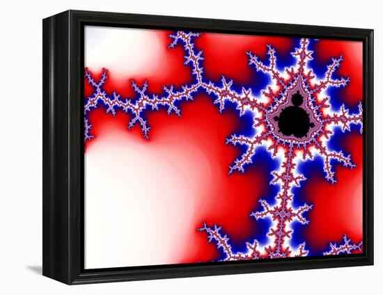 Mandelbrot Fractal-Laguna Design-Framed Premier Image Canvas