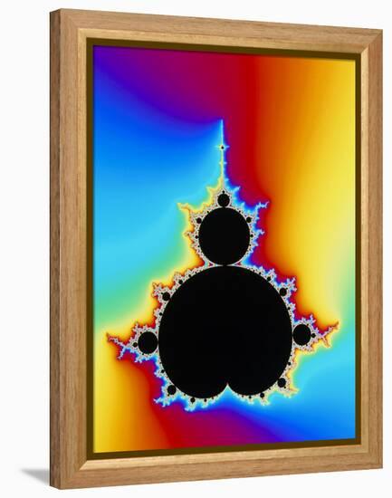 Mandelbrot Fractal-PASIEKA-Framed Premier Image Canvas