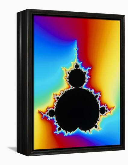 Mandelbrot Fractal-PASIEKA-Framed Premier Image Canvas