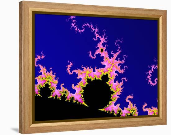 Mandelbrot Fractal-PASIEKA-Framed Premier Image Canvas