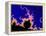 Mandelbrot Fractal-PASIEKA-Framed Premier Image Canvas