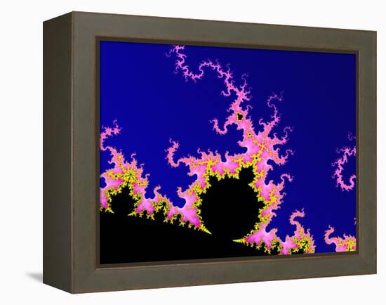 Mandelbrot Fractal-PASIEKA-Framed Premier Image Canvas