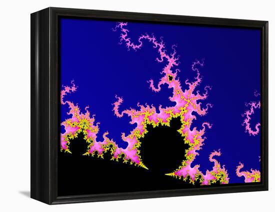 Mandelbrot Fractal-PASIEKA-Framed Premier Image Canvas