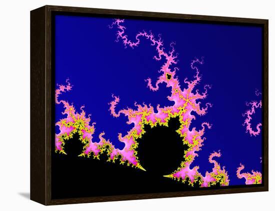 Mandelbrot Fractal-PASIEKA-Framed Premier Image Canvas