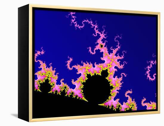 Mandelbrot Fractal-PASIEKA-Framed Premier Image Canvas