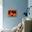 Mandelbrot Fractal-PASIEKA-Framed Premier Image Canvas displayed on a wall