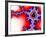 Mandelbrot Fractal-Laguna Design-Framed Photographic Print