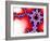 Mandelbrot Fractal-Laguna Design-Framed Photographic Print