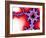 Mandelbrot Fractal-Laguna Design-Framed Photographic Print