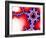 Mandelbrot Fractal-Laguna Design-Framed Photographic Print