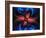 Mandelbrot Fractal-Victor Habbick-Framed Photographic Print