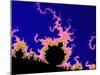 Mandelbrot Fractal-PASIEKA-Mounted Photographic Print