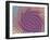 Mandelbrot Fractal-Friedrich Saurer-Framed Photographic Print