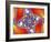 Mandelbrot Fractal-Friedrich Saurer-Framed Photographic Print