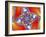 Mandelbrot Fractal-Friedrich Saurer-Framed Photographic Print