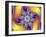 Mandelbrot Fractal-Friedrich Saurer-Framed Photographic Print