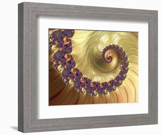 Mandelbrot Fractal-null-Framed Photographic Print