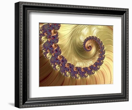 Mandelbrot Fractal-null-Framed Photographic Print