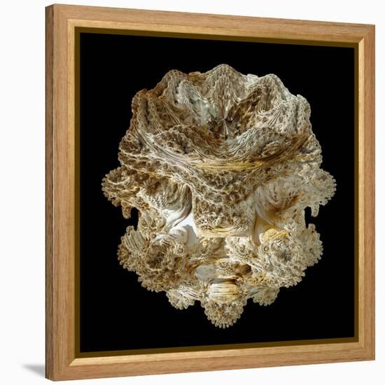 Mandelbulb Fractal-Laguna Design-Framed Premier Image Canvas