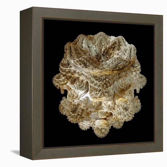 Mandelbulb Fractal-Laguna Design-Framed Premier Image Canvas