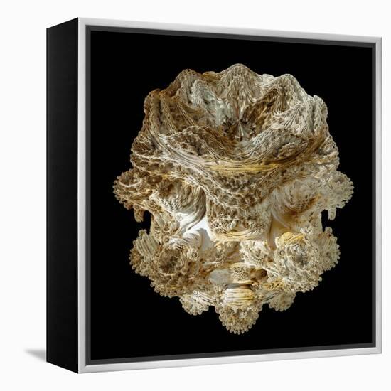 Mandelbulb Fractal-Laguna Design-Framed Premier Image Canvas