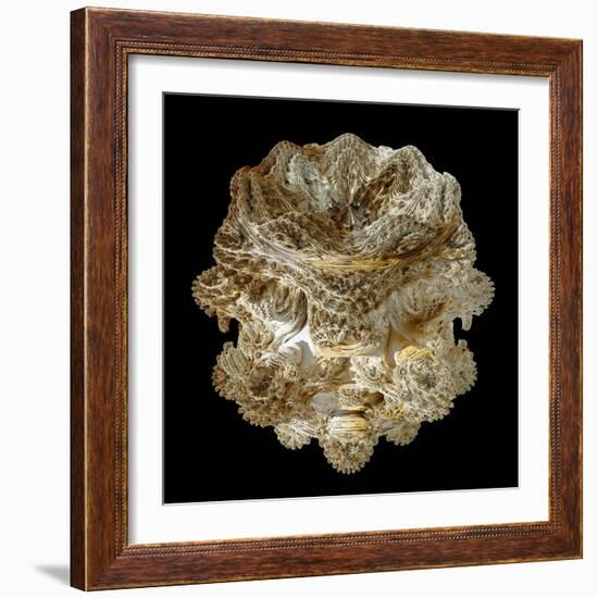 Mandelbulb Fractal-Laguna Design-Framed Premium Photographic Print