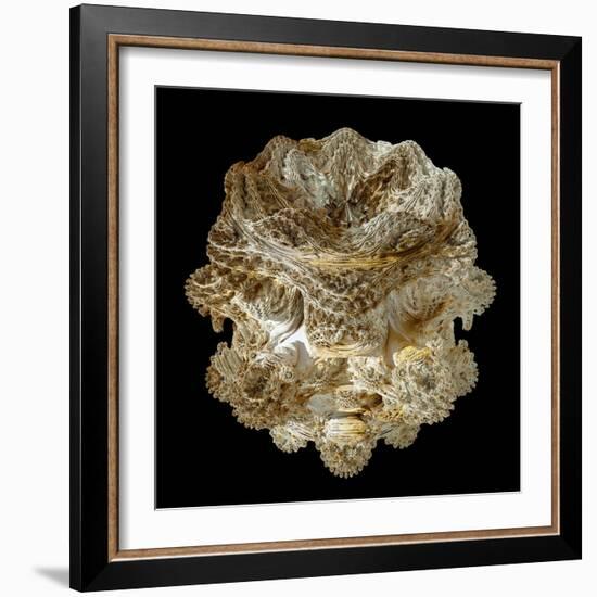 Mandelbulb Fractal-Laguna Design-Framed Premium Photographic Print