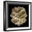 Mandelbulb Fractal-Laguna Design-Framed Premium Photographic Print