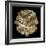 Mandelbulb Fractal-Laguna Design-Framed Premium Photographic Print