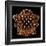 Mandelbulb Fractal-Laguna Design-Framed Photographic Print