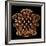 Mandelbulb Fractal-Laguna Design-Framed Photographic Print