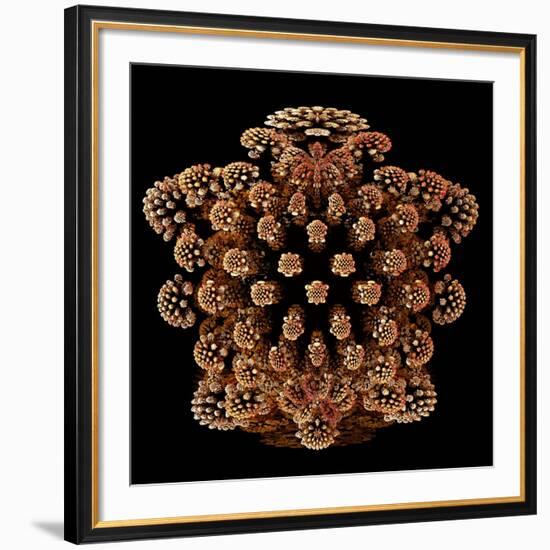 Mandelbulb Fractal-Laguna Design-Framed Photographic Print